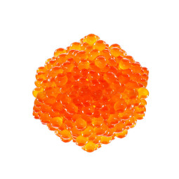 Trout Roe