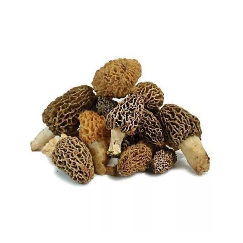 Frozen Morel Mushrooms