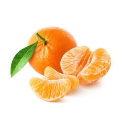 Clementine Segments