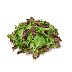 Mesclun Deluxe Salad Mix